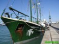 Rainbow Warrior, en Cádiz