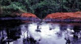 Vertido incontrolado de petróleo en el Amazonas