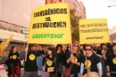 Manifestación "NO queremos transgénicos"