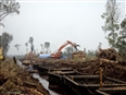 El bosque destruido del banco Santander
