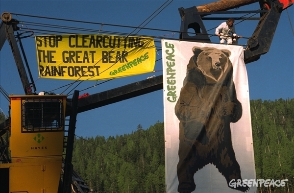 Acción para pedir la defensa de los bosques de Canadá.