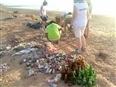 Fotoblog en vivo/ Recogida de basura en la playa de Valencia