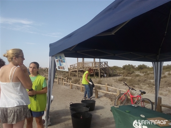 En Almería hemos realizado una recogida de basura en la Ribera de la Algaida. Ha venido mucha gente anónima así como de diferentes asociaciones.