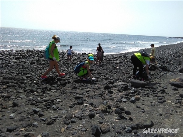 Voluntas recogen plástico en el sur de Tenerife, en la playa del Socorro en Güimar.