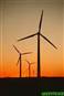 Las renovables son las que aportan m&#225;s energ&#237;a y empleo