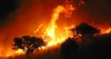 &#191;Qui&#233;n quema el monte?  &#191;Por qu&#233; hay tantos incendios en Galicia?