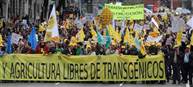 El Parlamento Europeo nos acerca a una prohibici&#243;n real a los transg&#233;nicos 