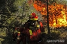 Algo falla en la gesti&#243;n de los incendios forestales