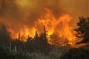 Buenas y malas noticias sobre los incendios forestales de 2013
