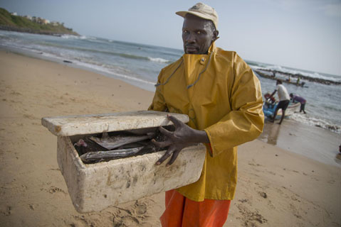 Mamadou Sarr, Senegal